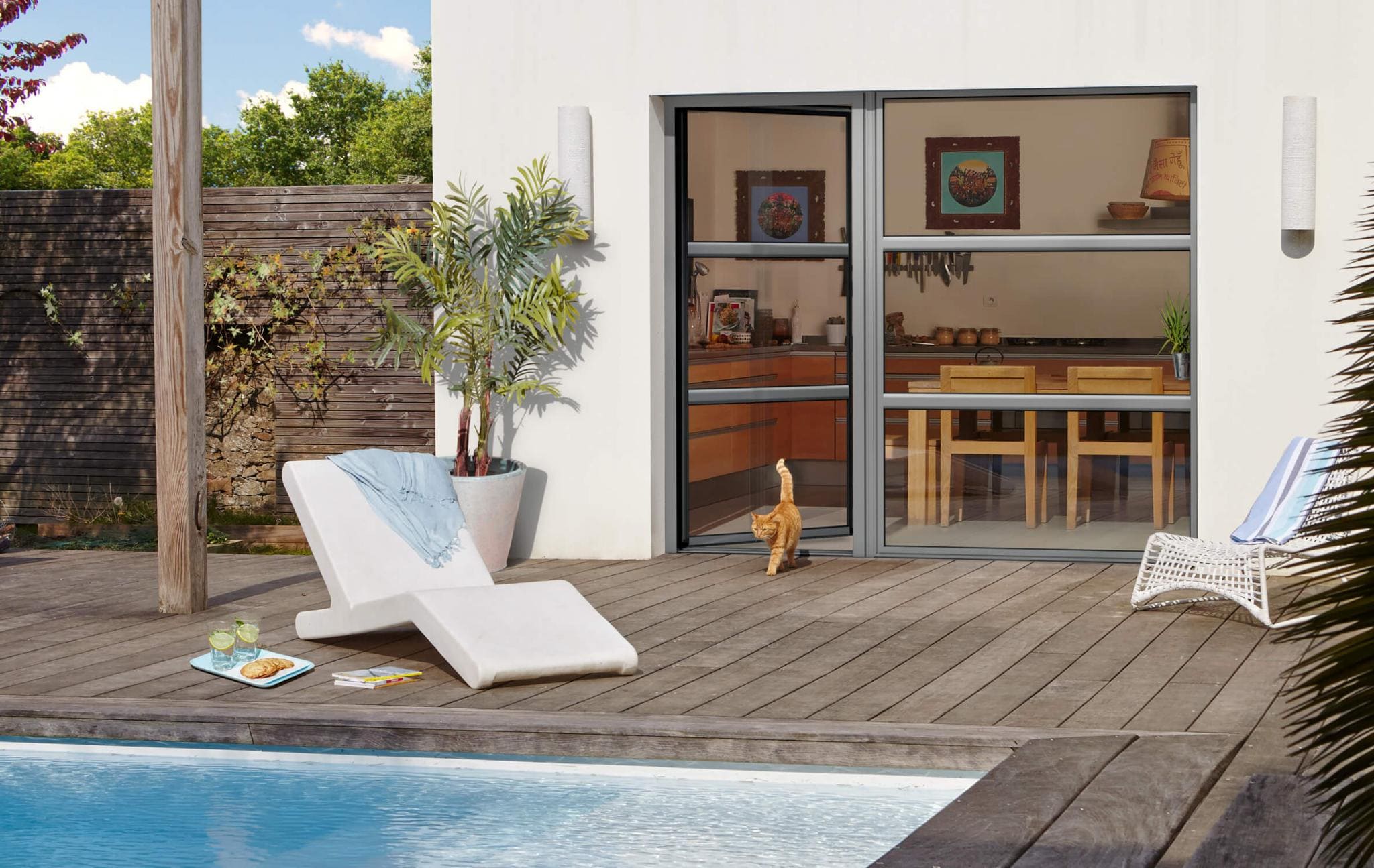 Photo d'une baie vitrée et composée d'une petite porte et d'une plus grande les montants sont gris un chat roux sort et marche sur la terrasse en bois qui fait face a la piscine.